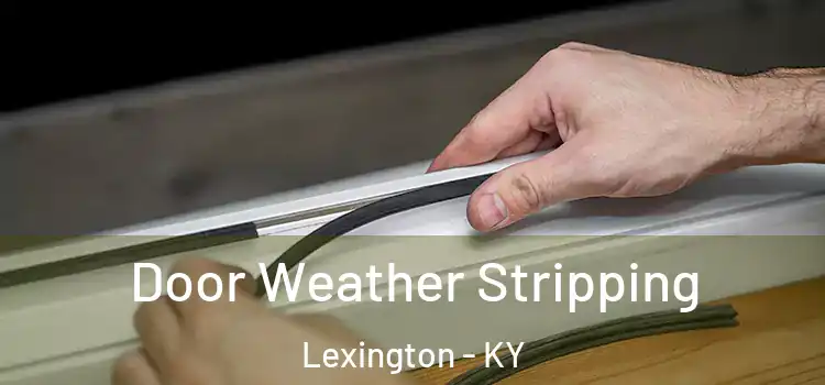 Door Weather Stripping Lexington - KY