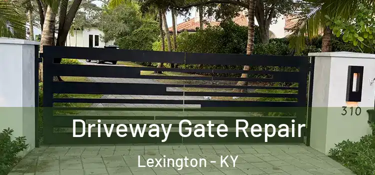 Driveway Gate Repair Lexington - KY