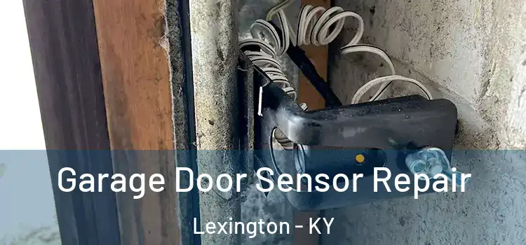 Garage Door Sensor Repair Lexington - KY