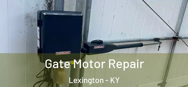 Gate Motor Repair Lexington - KY