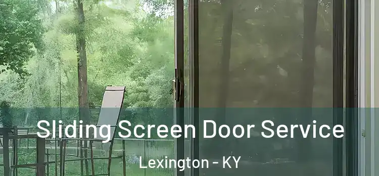 Sliding Screen Door Service Lexington - KY